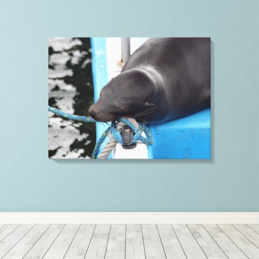 Snoozing Galapagos Zee Lion Canvas Afdruk (Insitu (Houten vloer))