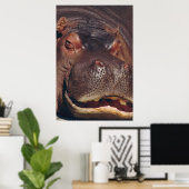 Snoozing Hippopotamus Portret Poster (Thuiskantoor)