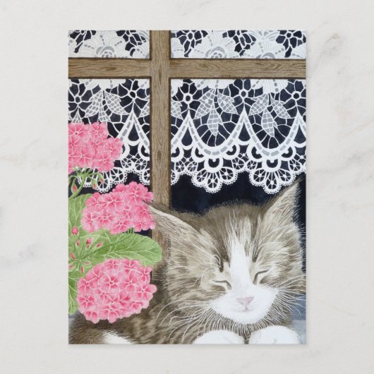 Snoozing in de zon briefkaart (Voorkant)