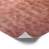 Snoozing Kitten Poster (Hoek)