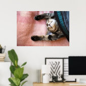 Snoozing Kitten Poster (Thuiskantoor)