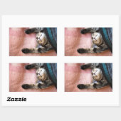 Snoozing Kitten Rechthoekige Sticker (Vel)