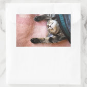 Snoozing Kitten Rechthoekige Sticker (Tas)