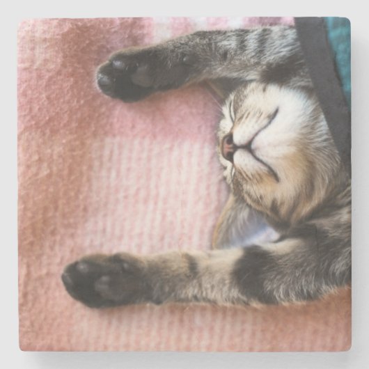Snoozing Kitten Stenen Onderzetter (Voorkant)