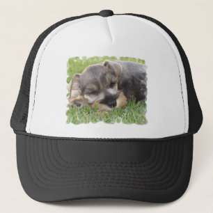 Snoozing Schnauzer Baseball Hat Trucker Pet