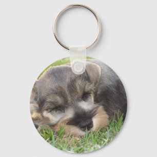 Snoozing Schnauzer-Sleutelhanger Sleutelhanger