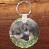 Snoozing Schnauzer-Sleutelhanger Sleutelhanger (Voorkant)