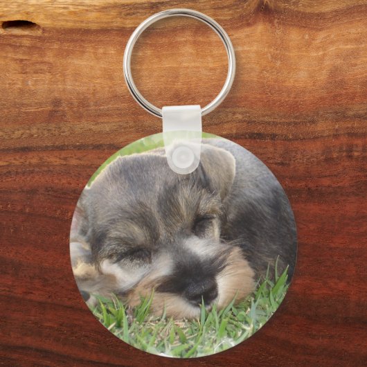 Snoozing Schnauzer-Sleutelhanger Sleutelhanger (Voorkant)