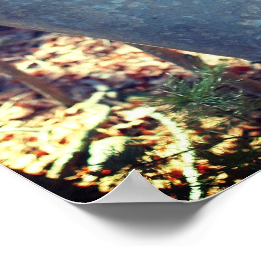 Snop. van de suikerstroop van de aple op boom poster (Hoek)