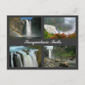 Snoqualmie Herfst briefkaart (Voorkant)