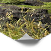 Snoqualmie Herfsten 11 Poster (Hoek)