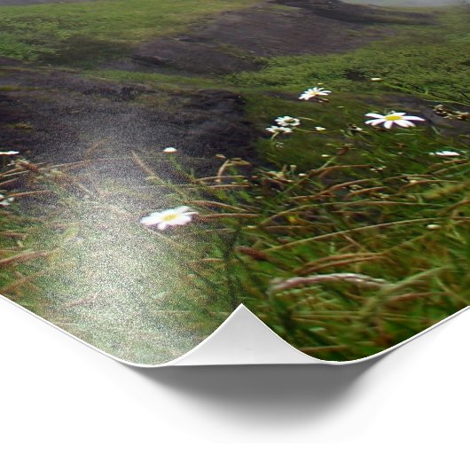 Snoqualmie Herfsten Foto Afdruk (Hoek)