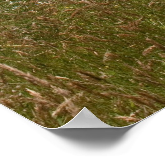 Snoqualmie Herfsten Poster (Hoek)