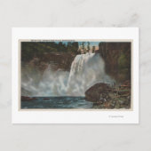 Snoqualmie-Herfsten, WA - Uitzicht Herfsten ondera Briefkaart (Voorkant)