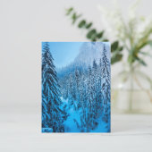 Snoqualmie Pass, staat Washington. Briefkaart (Staand voorkant)