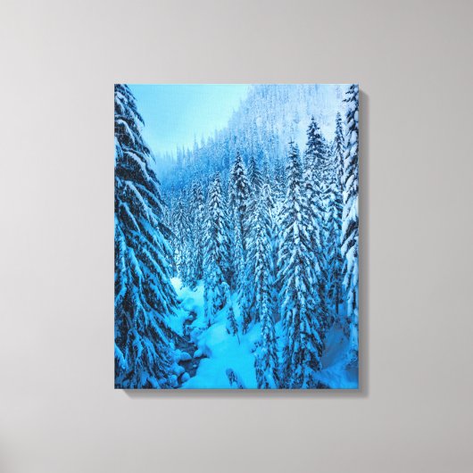 Snoqualmie Pass, staat Washington. Canvas Afdruk (Voorkant)