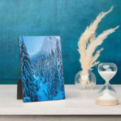 Snoqualmie Pass, staat Washington. Fotoplaat (Zijkant)