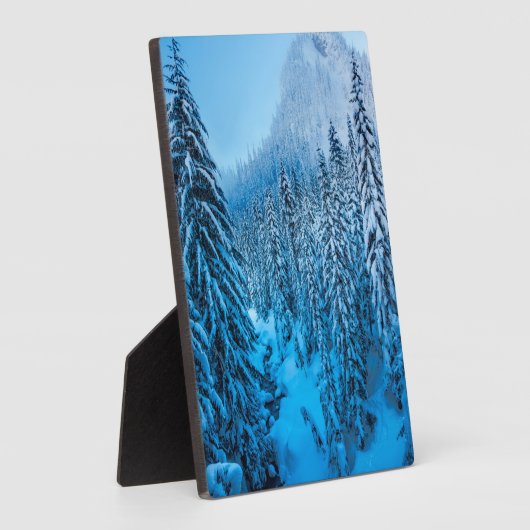 Snoqualmie Pass, staat Washington. Fotoplaat (Zijkant)