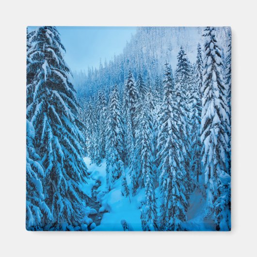 Snoqualmie Pass, staat Washington. Magneet (Voorkant)