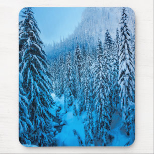 Snoqualmie Pass, staat Washington. Muismat