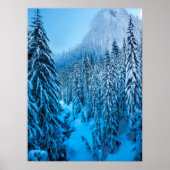 Snoqualmie Pass, staat Washington. Poster (Voorkant)