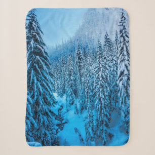Snoqualmie Pass, staat Washington. Sherpa Deken