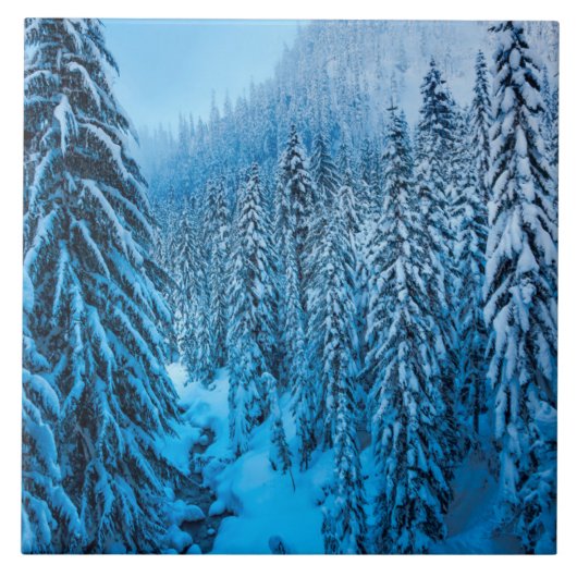 Snoqualmie Pass, staat Washington. Tegeltje (Voorkant)