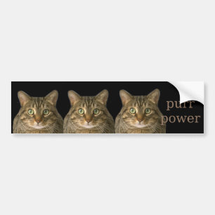 Snor kracht bumpersticker