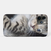 "Snorharen van Problemen: Het Ondeugende Tabby Poe Case-Mate iPhone Case (Achterkant (horizontaal))