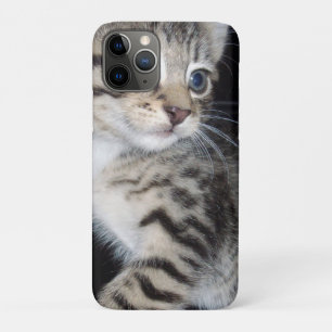 "Snorharen van Problemen: Het Ondeugende Tabby Poe Case-Mate iPhone Case