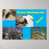 Snorkel Poipu Poster (Voorkant)