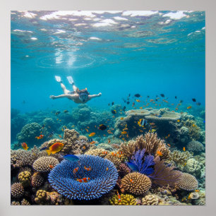 Snorkelen in een levendig koraalrif poster