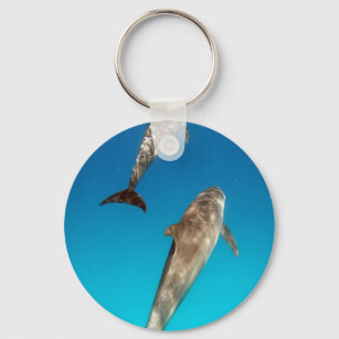 snorkelen met dolfijnen sleutelhanger