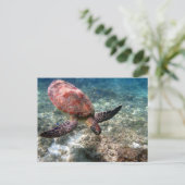 Snorkelen met schildpad briefkaart (Staand voorkant)