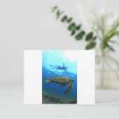 Snorkelen met zee schildpad Galapagos Islands Briefkaart (Staand voorkant)
