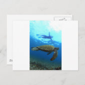 Snorkelen met zee schildpad Galapagos Islands Briefkaart (Voorkant / Achterkant)