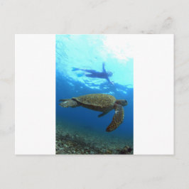 Snorkelen met zee schildpad Galapagos Islands Briefkaart