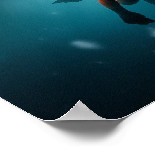 Snorkelen onder het ijs poster (Hoek)