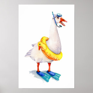 Snorkelen Witte Gans Poster