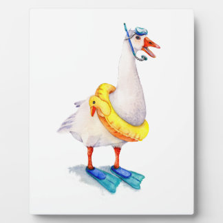 Snorkelende witte gans fotoplaat