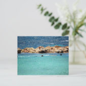 snorkeling in het Caribische Briefkaart (Staand voorkant)