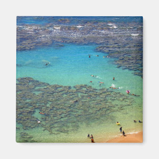Snorklers in Hanauma Bay, Oahu, Hawaï Magneet