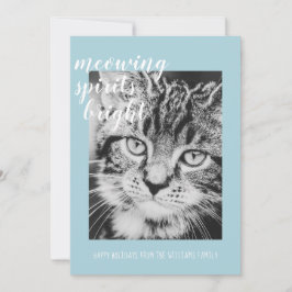 Snorrende Geesten Fel uw Katten Foto Vakantie Feestdagenkaart