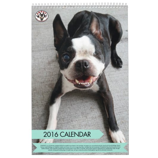 SNORT 2016-kalender (VORIGE EDITIE) Kalender (Hoes)