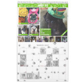 SNORT 2017-kalender (VORIGE EDITIE) Kalender (Mar 2027)
