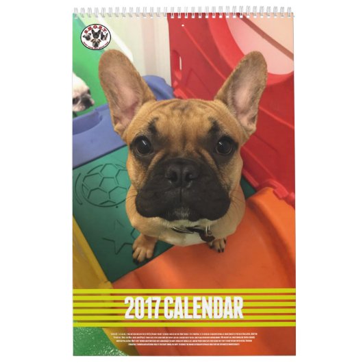 SNORT 2017-kalender (VORIGE EDITIE) Kalender (Hoes)