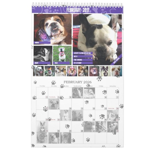 SNORT 2017-kalender (VORIGE EDITIE) Kalender (Feb 2026)