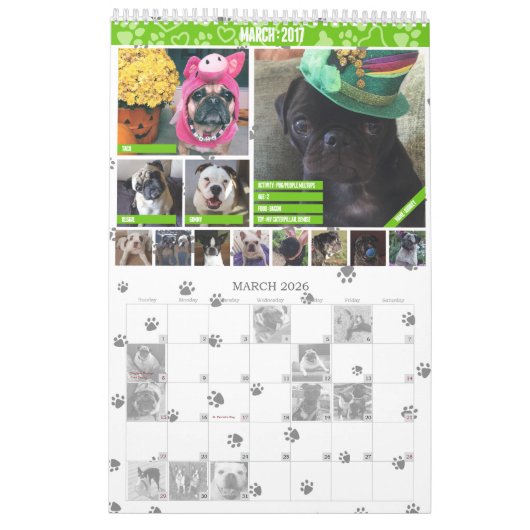 SNORT 2017-kalender (VORIGE EDITIE) Kalender (Mar 2026)