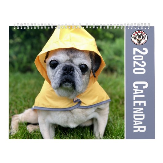 SNORTRESCUE 2020 CALENDAR KALENDER (Hoes)