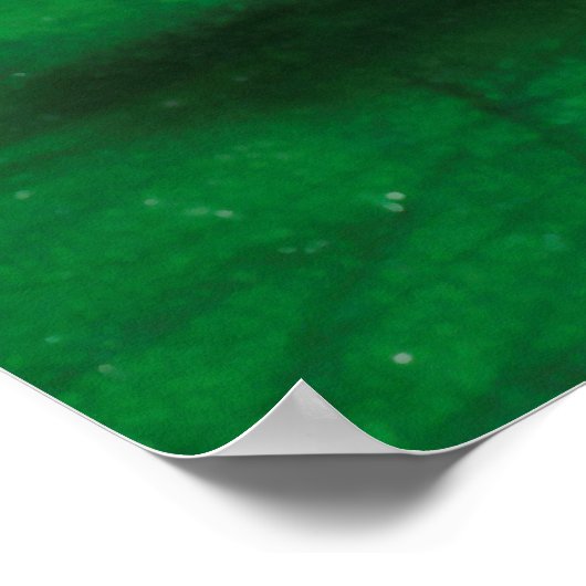 Snorts Poster (Hoek)